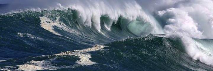 Edoardo Vigna banner