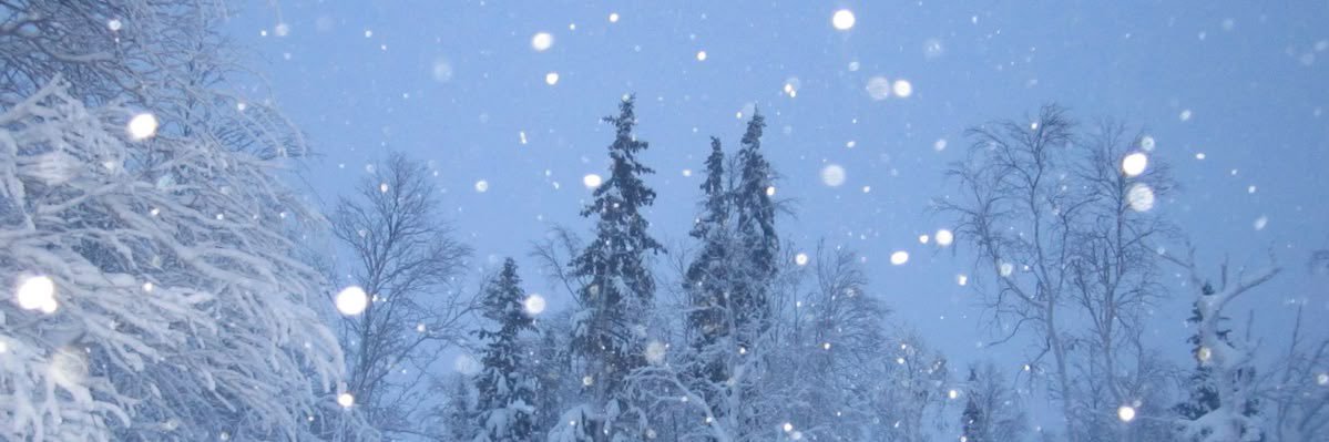 ladsxmar's profile banner image