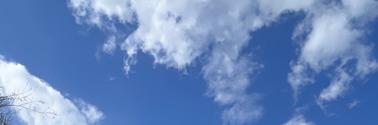 britcmuir's profile banner image