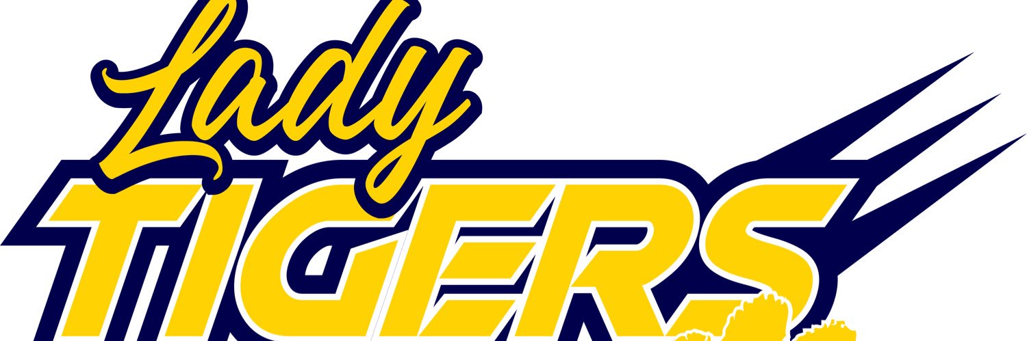 Ladytigers banner