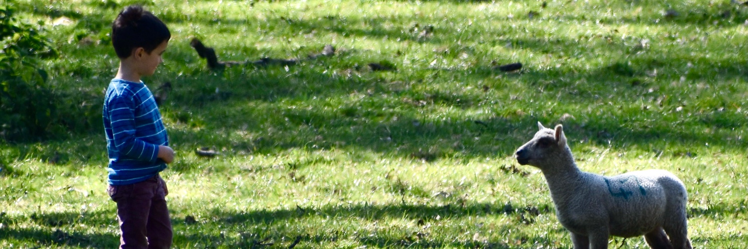 ABrodieWriter's profile banner image