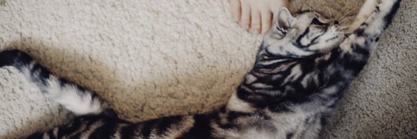 zengjiajun_eth Profile Banner