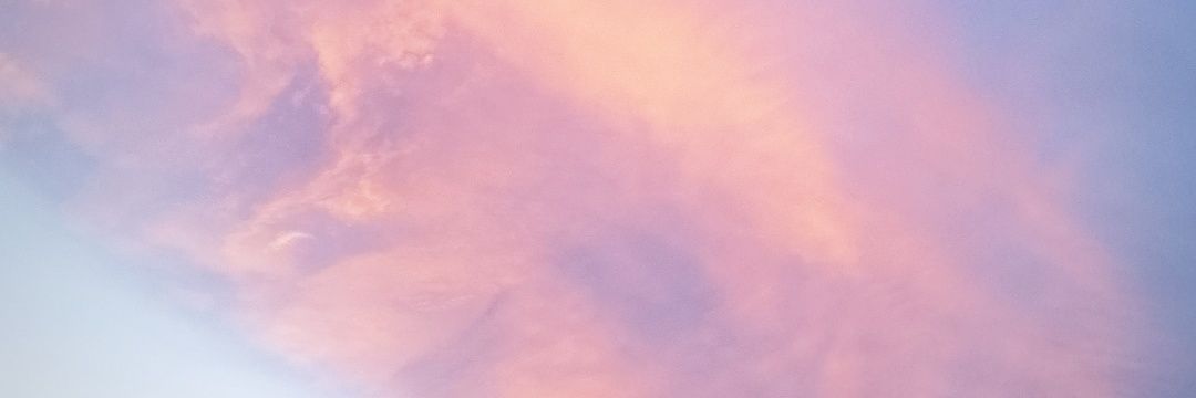 Mariacoal_'s profile banner image
