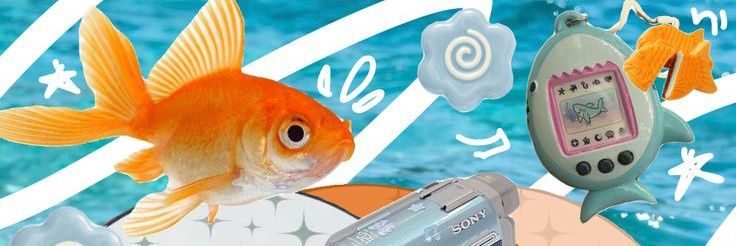 pringles_87's profile banner image