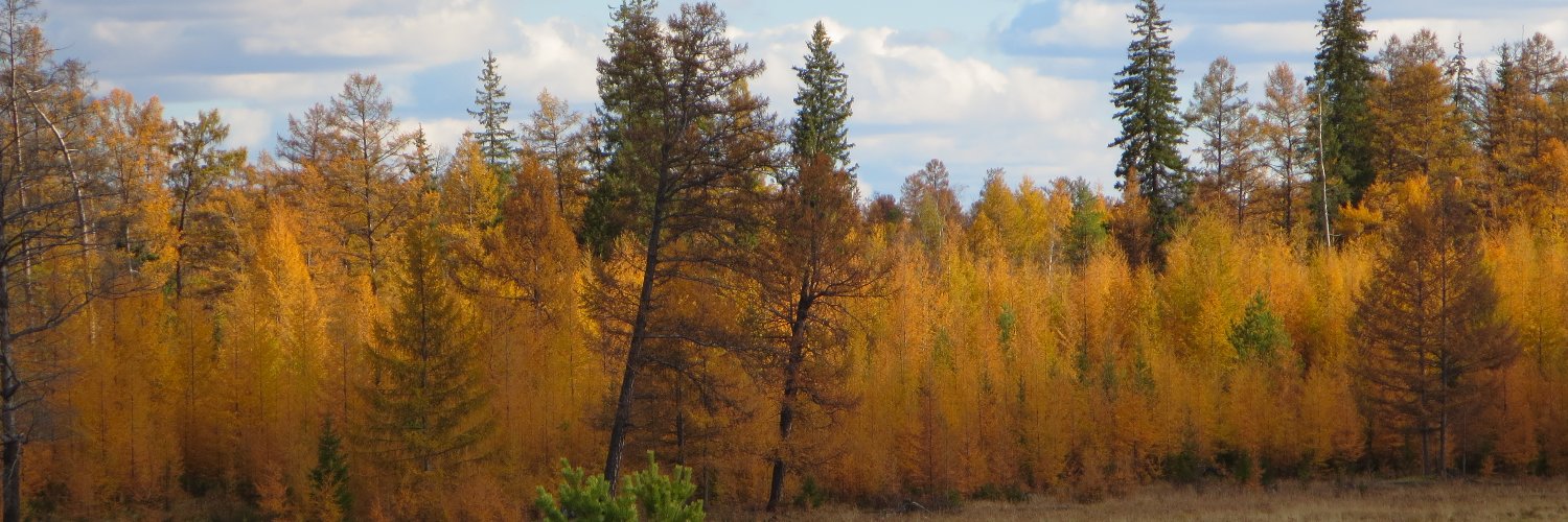 Stephanie Levy banner