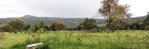 MANUELMORENOGMN's profile banner image