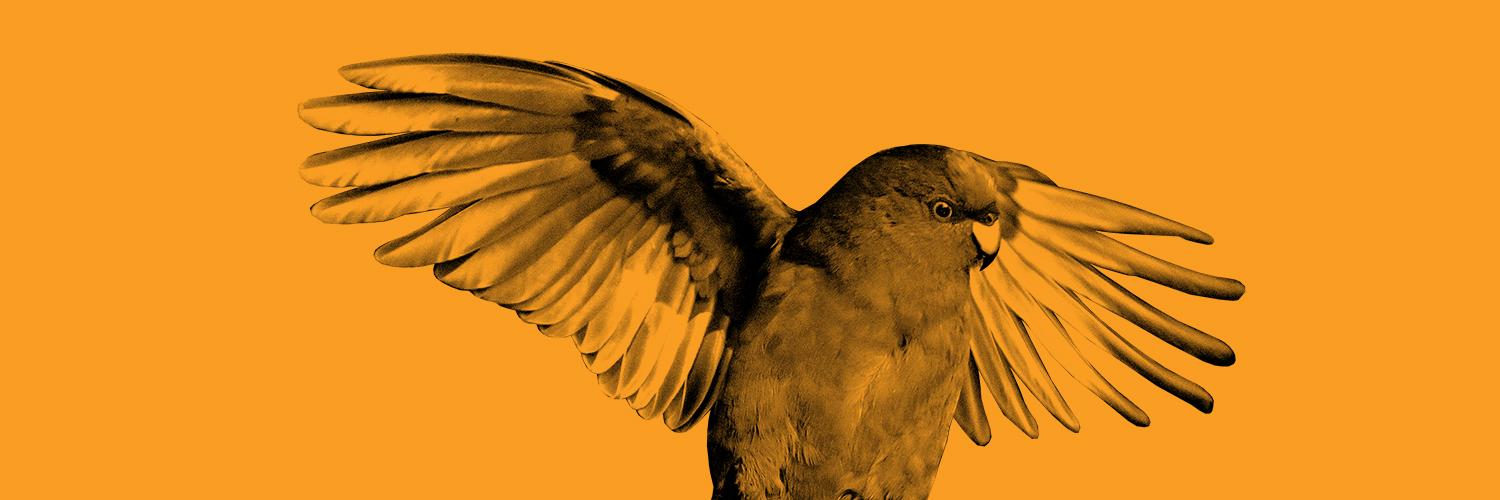 aucklandzoo's profile banner image