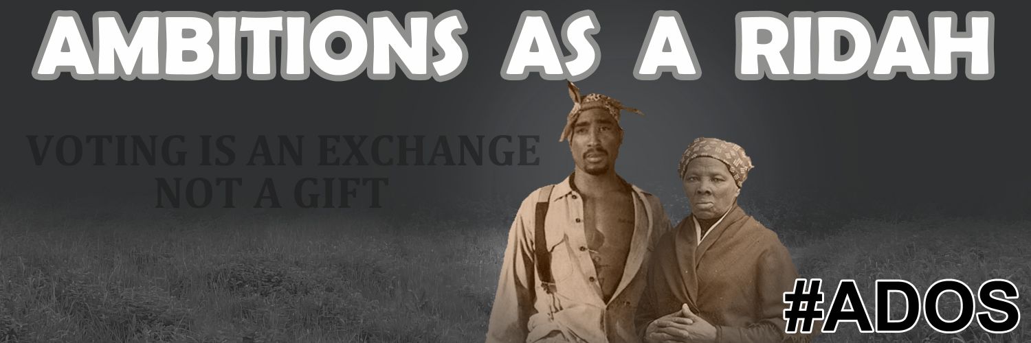 Next Election 🪮Negro 🇺🇸's banner
