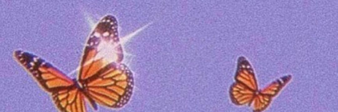 Labandidaoculta's profile banner image