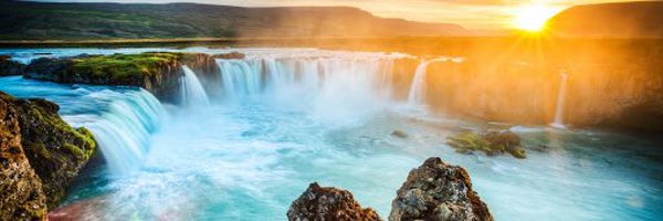 lasandra1908 Profile Banner