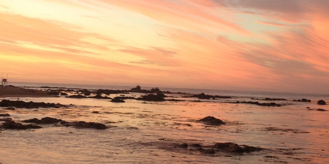 Macarena Llona banner