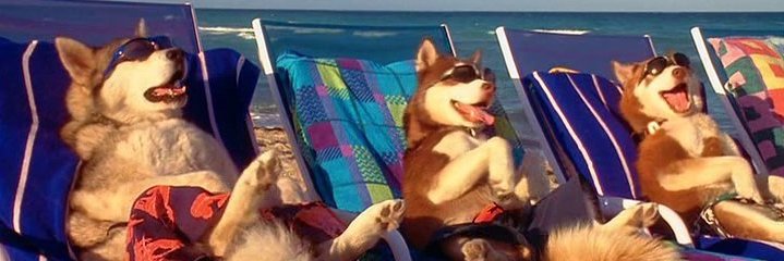 iwashyourhands's profile banner image