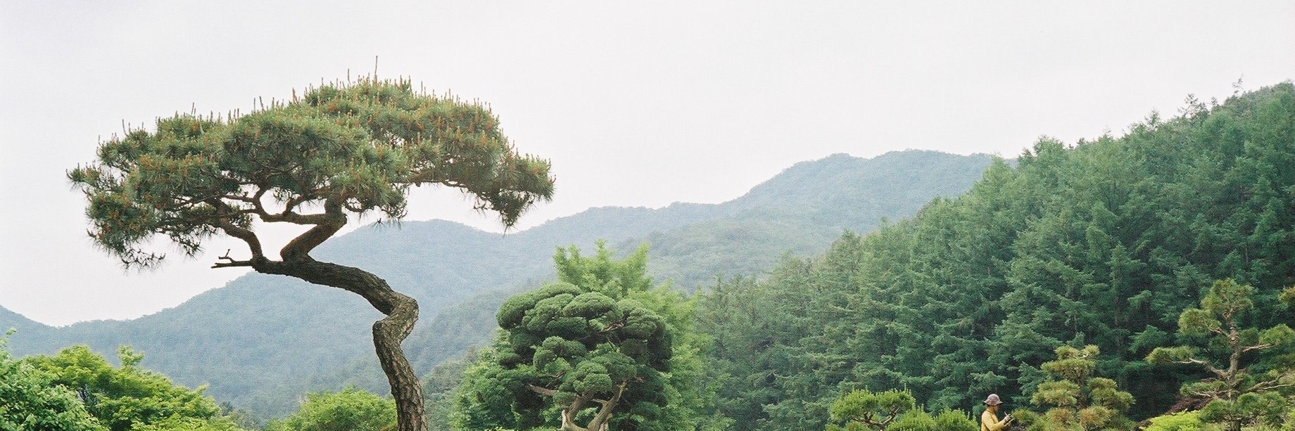 JXTG's profile banner image