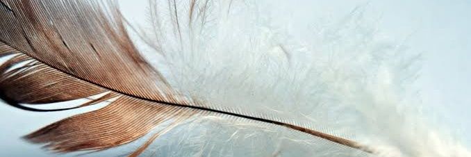 1boteci's profile banner image