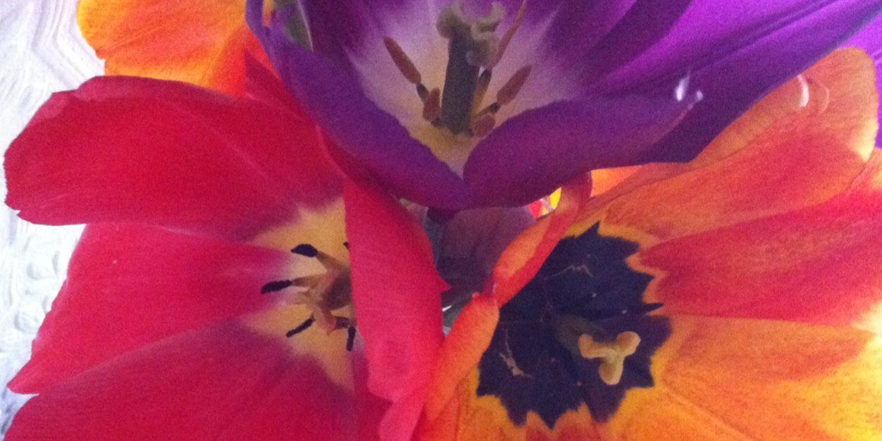 Gab_Davies's profile banner image