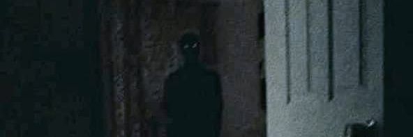 Sertaodapeste's profile banner image