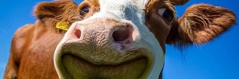 deados35's profile banner image