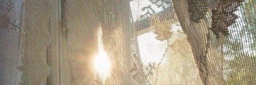 jennsilverr's profile banner image
