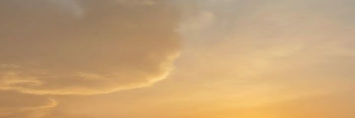 sandras4's profile banner image