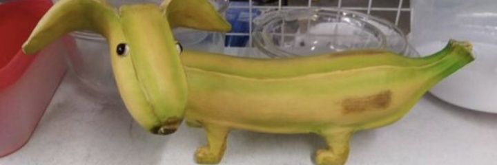 Dracoau's profile banner image