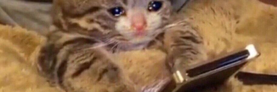 ㅇㄹㄴ🖤 banner