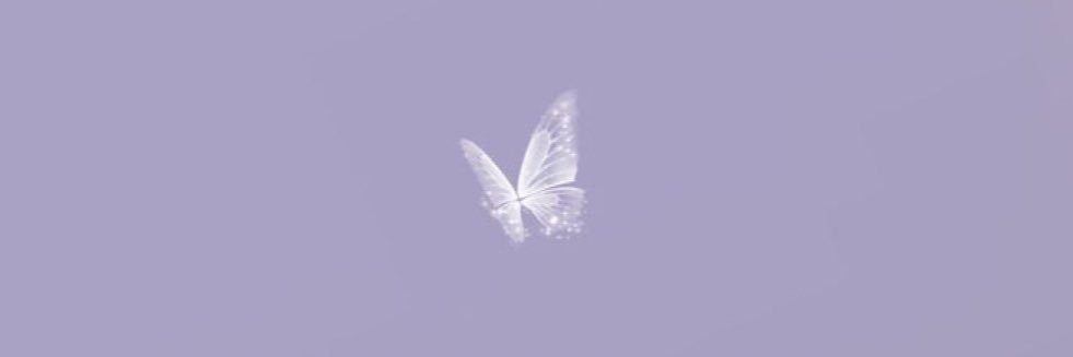 _Flutterfly_'s profile banner image