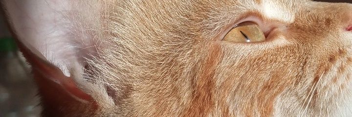 camdmngt's profile banner image
