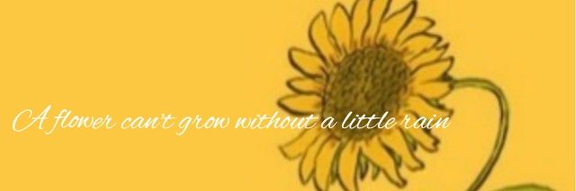 UntouchableShe's profile banner image