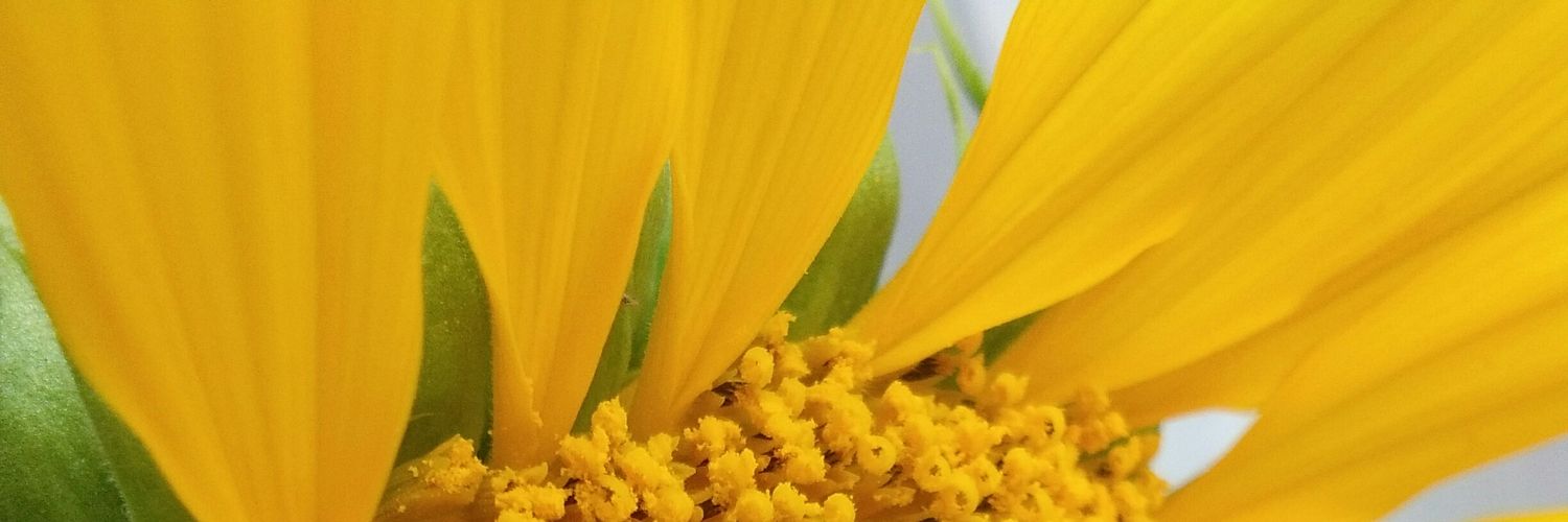ratihrayaa's profile banner image