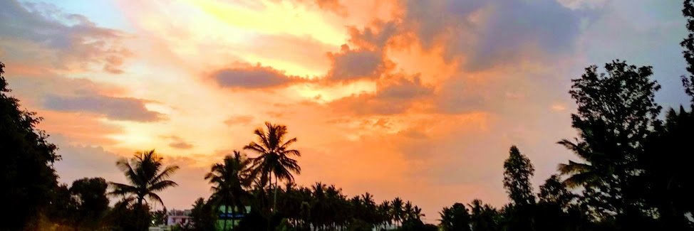 rohitv97's profile banner image