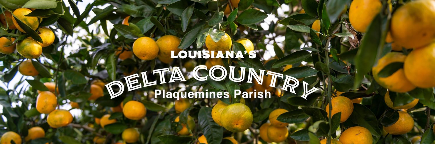 SeePlaquemines's profile banner image