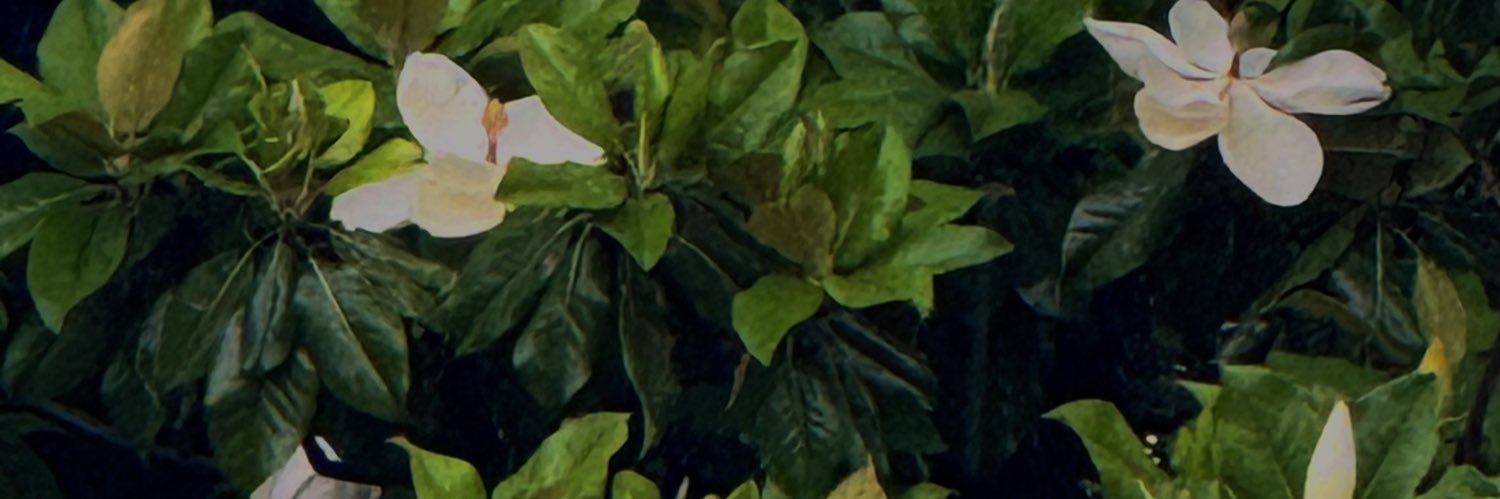 naomirae17's profile banner image