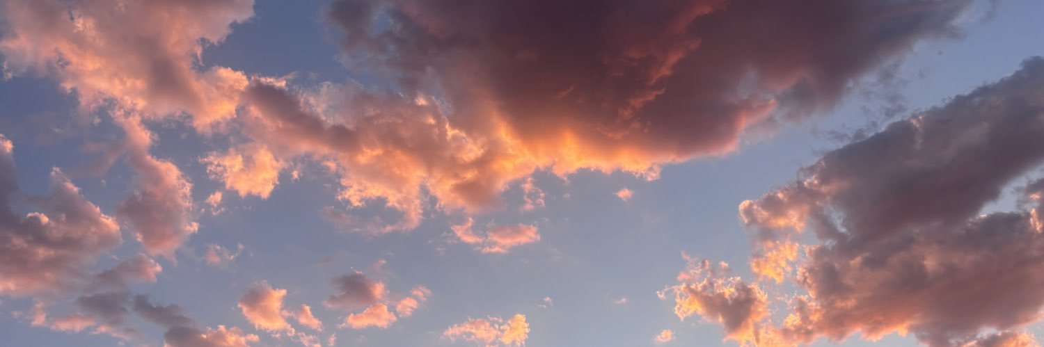 Mary_Rexx's profile banner image