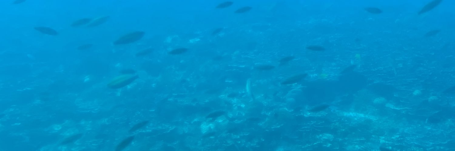 nonnonnoBC's profile banner image