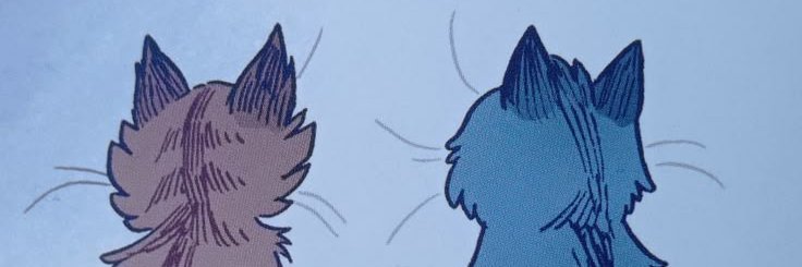 ColleColi's profile banner image
