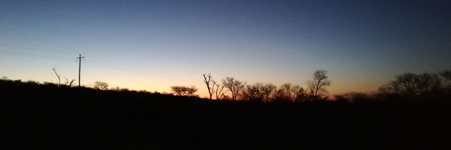 Vesus_M's profile banner image