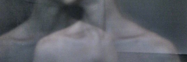 Bamboo banner