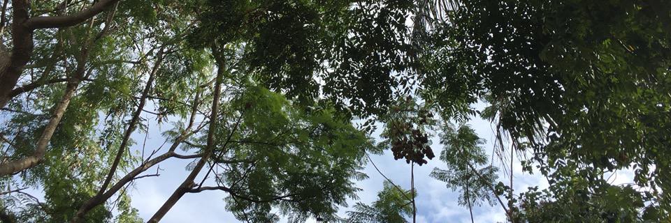 blendedlearning's profile banner image