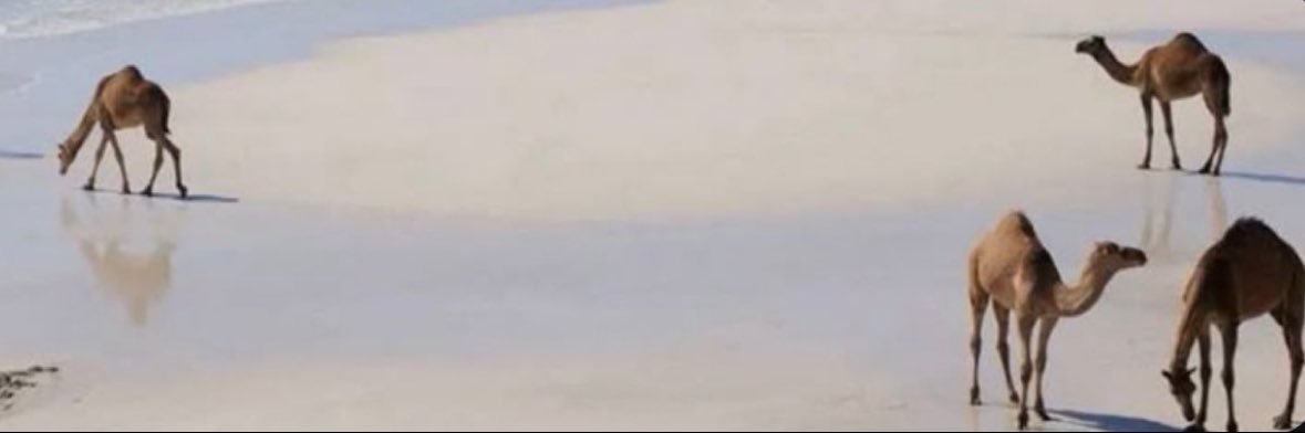 3bssh's profile banner image