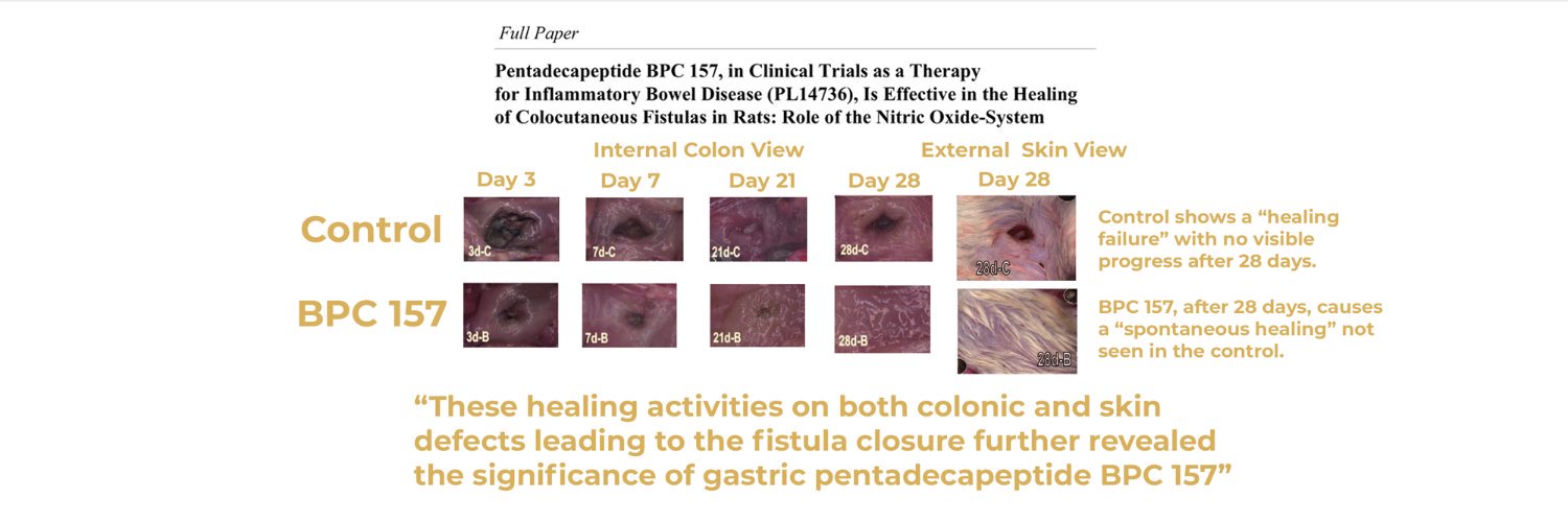 BPC 157 (Stable) - Body Protective Compound 157 banner