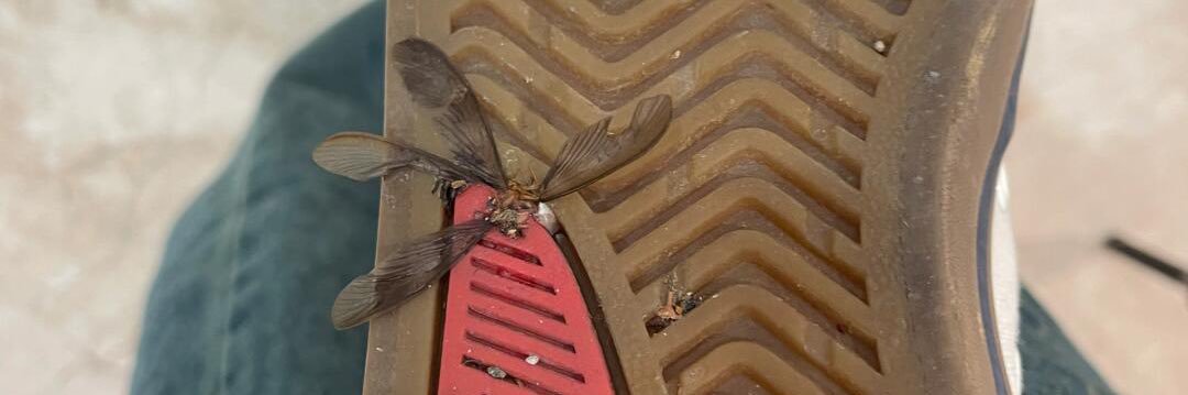 汐儿会魔法s banner