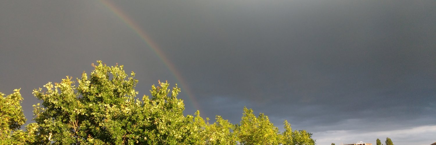 Slavina Dimitrova banner