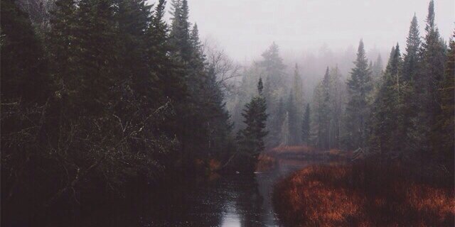 laurajfilippi's profile banner image
