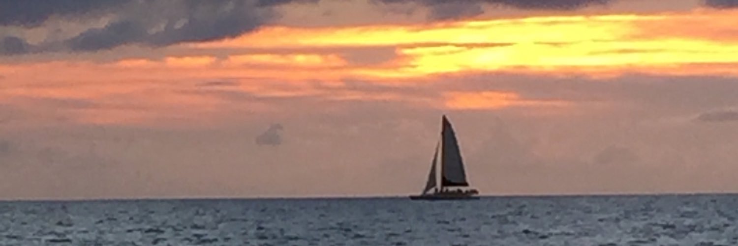 debschumacher1's profile banner image
