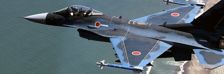 民さん(Captain Tami-san)🇯🇵🗻🌸🍣 banner