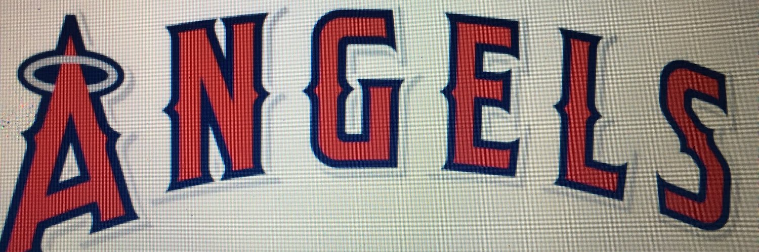 Saskatoon Angels Fastpitch banner