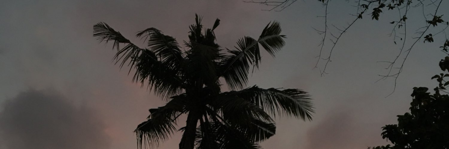 EstriDea's profile banner image
