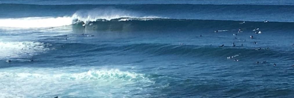 Point Break Surf Dude banner