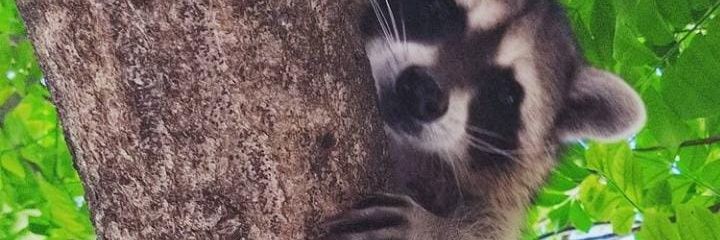 MarysolRdrigz's profile banner image