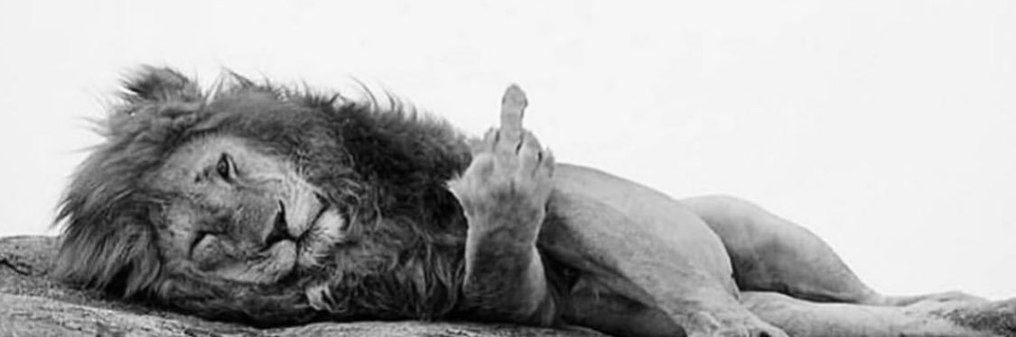 MikeMacGregor's profile banner image
